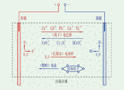 均勻電場(chǎng)下的電動(dòng)修復(fù)技術(shù)